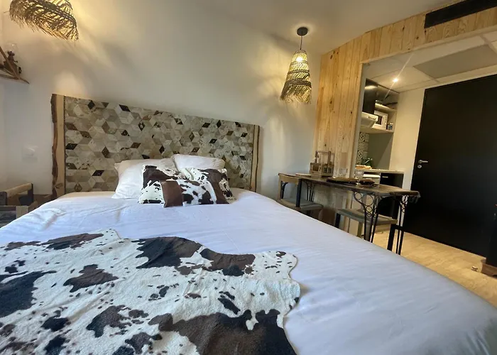 Premium, Wifi, Chaleureux Appartement *