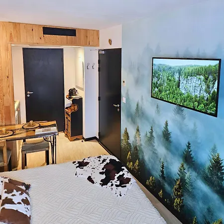 [chalet] Premium, Wifi, Chaleureux Appartement *