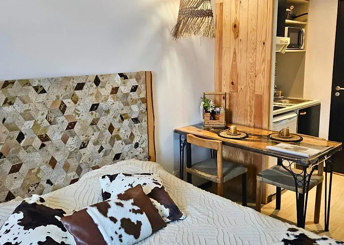 [chalet] Premium, Wifi, Chaleureux Appartement Lourdes