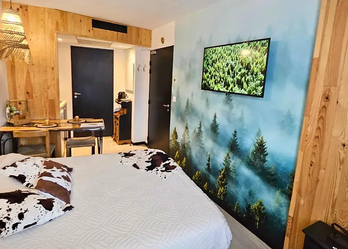 Appartement [chalet] Premium, Wifi, Chaleureux