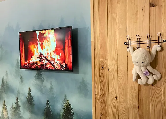 Premium, Wifi, Chaleureux * Lourdes