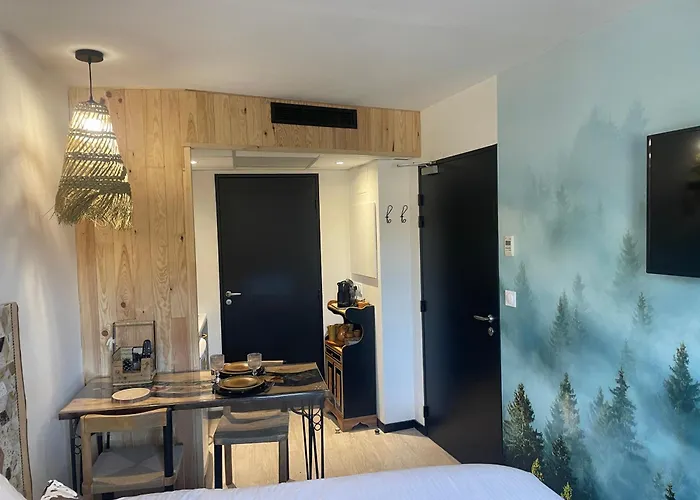 Apartament Premium, Wifi, Chaleureux