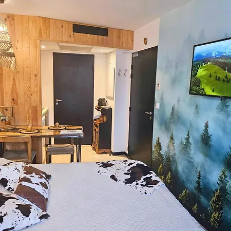 Premium, Wifi, Chaleureux Apartment